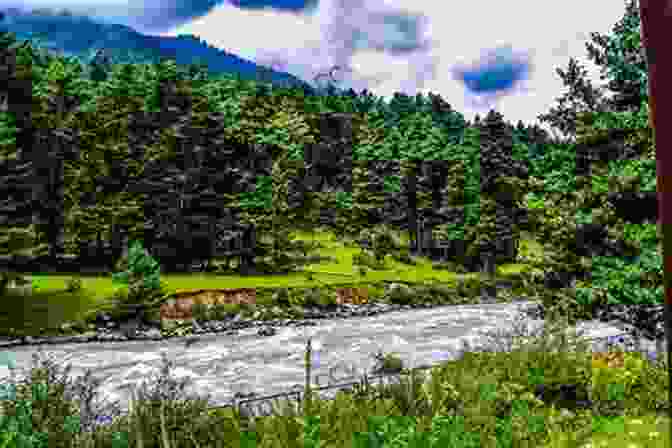 A Breathtaking Landscape Of A River Flowing Through A Lush Green Valley, With Distant Mountains And A Brilliant Blue Sky First Life (The River Saga One)