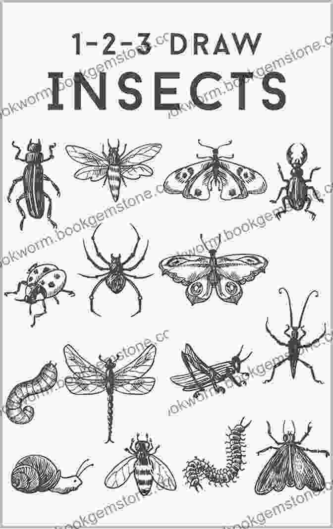 A Close Up Drawing Of An Insect Animals: 1 419 Copyright Free Illustrations Of Mammals Birds Fish Insects Etc (Dover Pictorial Archive)