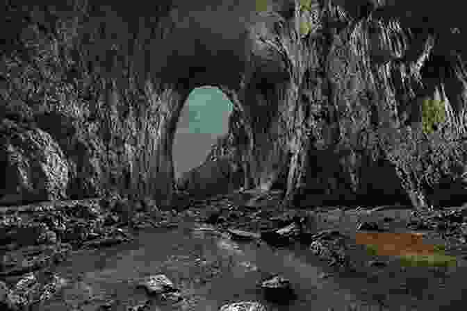 A Dark And Mysterious Cave Entrance Hidden Amidst Lush Greenery Horror Guide To Florida: A Literary Travel Guide (Horror Guides 2)