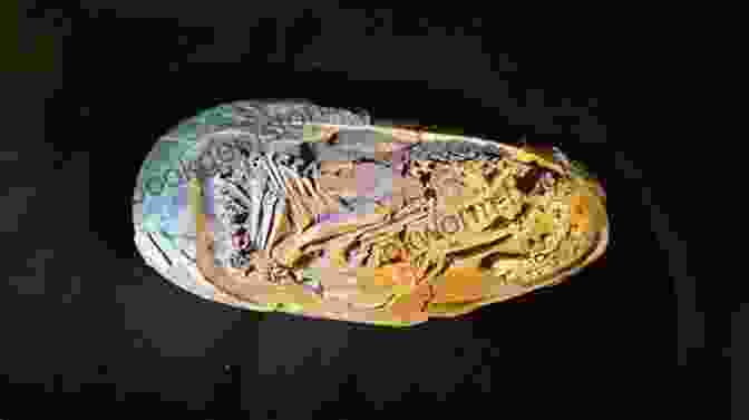 A Fossilized Dinosaur Baby, Meticulously Preserved With Delicate Bones And Remnants Of A Yolk Sac. CAD Monkeys Dinosaur Babies And T Shaped People: Inside The World Of Design Thinking And How It Can Spark Creativity And Innovati On