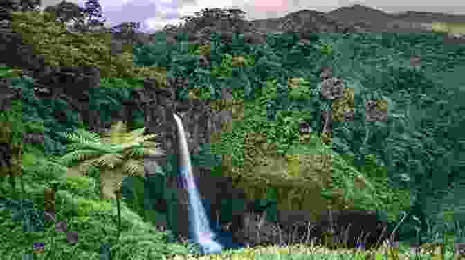 A Lush Rainforest In Costa Rica Frommer S Costa Rica 2024 (Complete Guide)