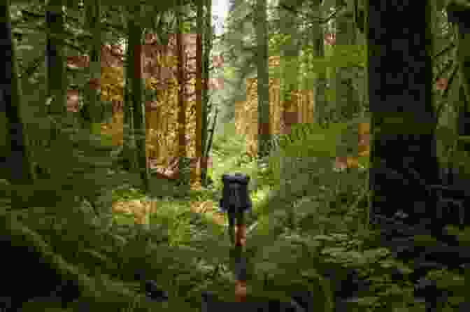 Bob And Nikki Hiking Through A Dense Forest, Their Backpacks Heavy With Supplies. Lost In Transit (Bob And Nikki 6)