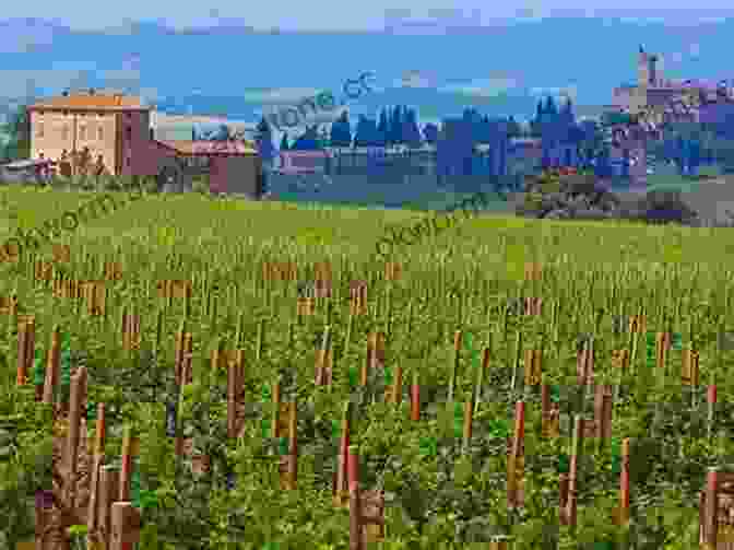 Fattoria Di Montisci, A Renowned Vineyard In Tuscany Bordeaux: Left Bank (Guides To Wines And Top Vineyards 1)