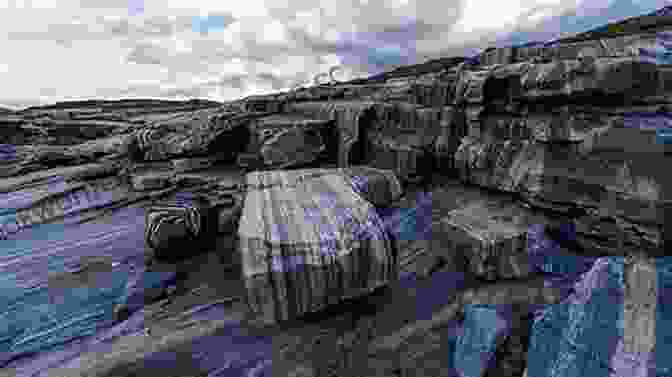 Glacial Striations On Antarctic Bedrock, Providing Evidence Of The Movement And Erosive Power Of Past Glaciers Antarctica: A History In 100 Objects