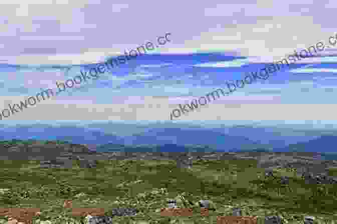 Panoramic View Of Mount Kosciuszko, Australia's Highest Mountain Australian Alps: Kosciuszko Alpine And Namadgi National Parks