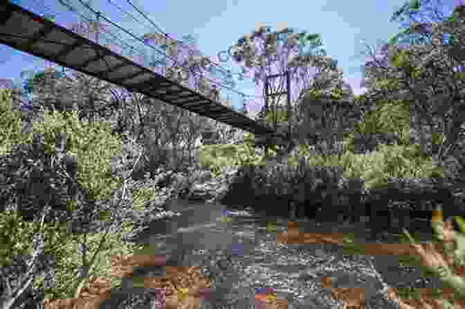 Thredbo River Winding Through The Picturesque Thredbo Valley Australian Alps: Kosciuszko Alpine And Namadgi National Parks