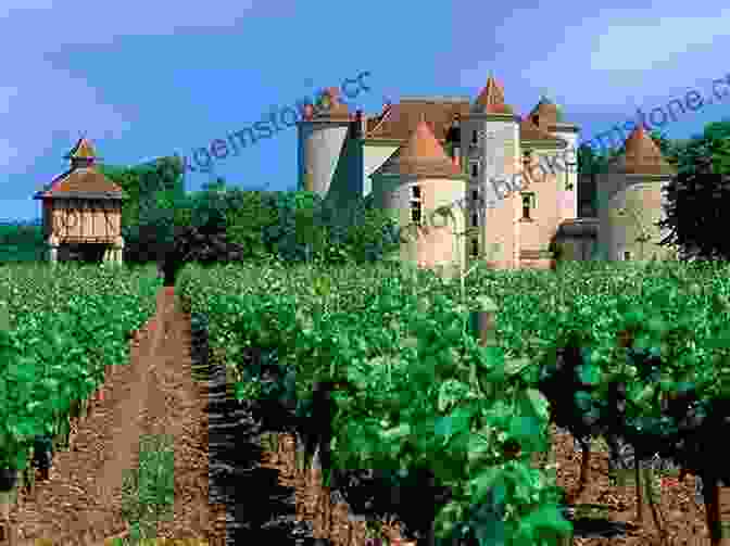 Vineyards In The Cahors Region Of France Malbec A Tumultuous Wine Journey From Woe To WOW: A For Wine Lovers About Argentine Malbec S Rise To Acclaim