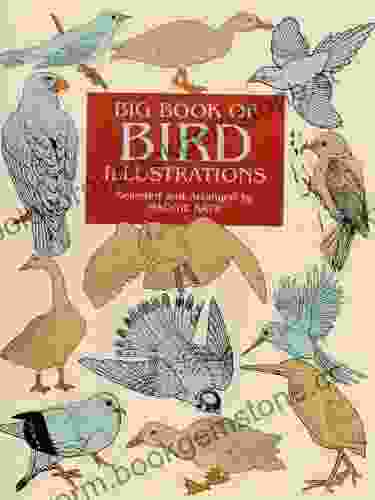 Big Of Bird Illustrations (Dover Pictorial Archive)