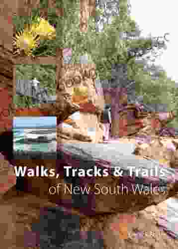Walks Tracks And Trails Of New South Wales